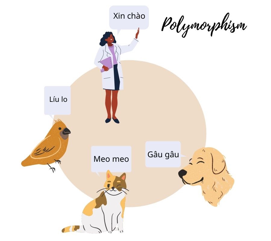 Tính đa hình (Polymorphism) trong lập trình hướng đối tượng