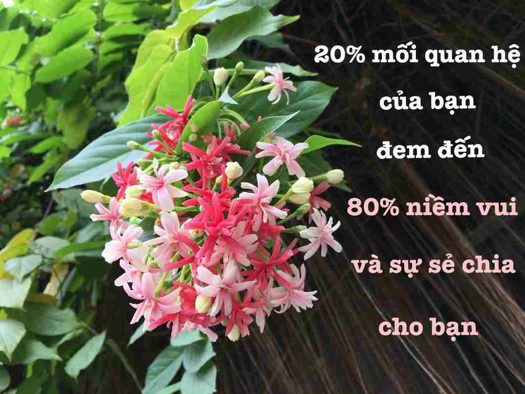 20% mối quan hệ của bạn đem đến 80% niềm vui và sự sẻ chia cho bạn