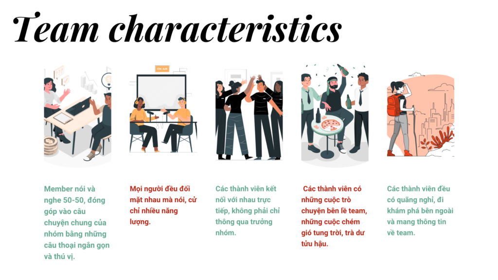 Team characteristics