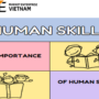 Image- Tầm quan trọng của Human skills trong thơi đại công nghệ hiện nay